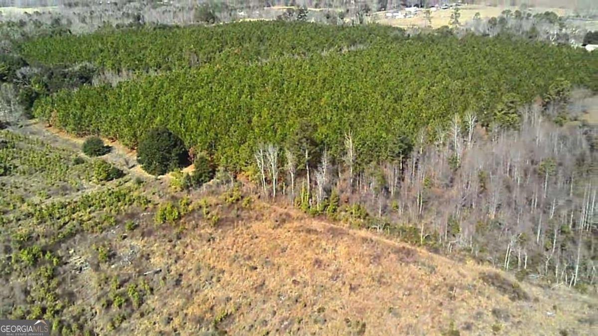 40 Drew Bennett Road Midville - Photo 34