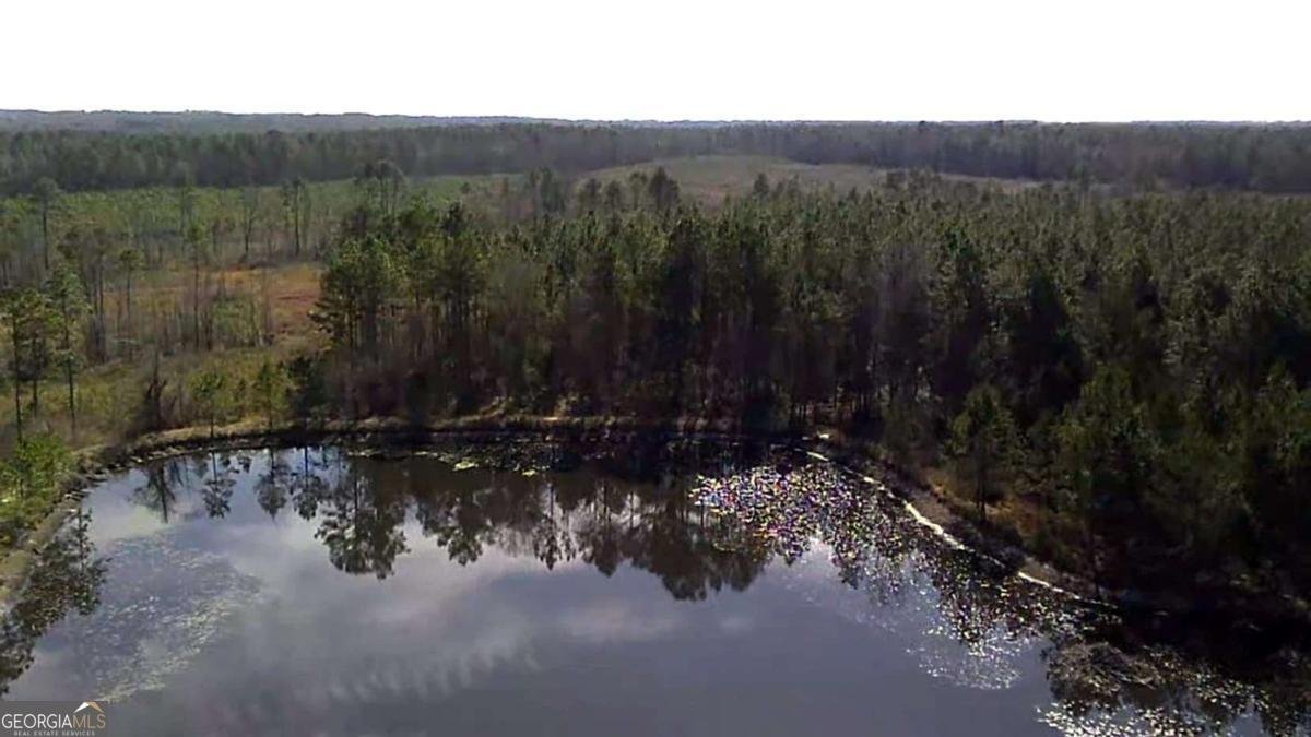 40 Drew Bennett Road Midville - Photo 36