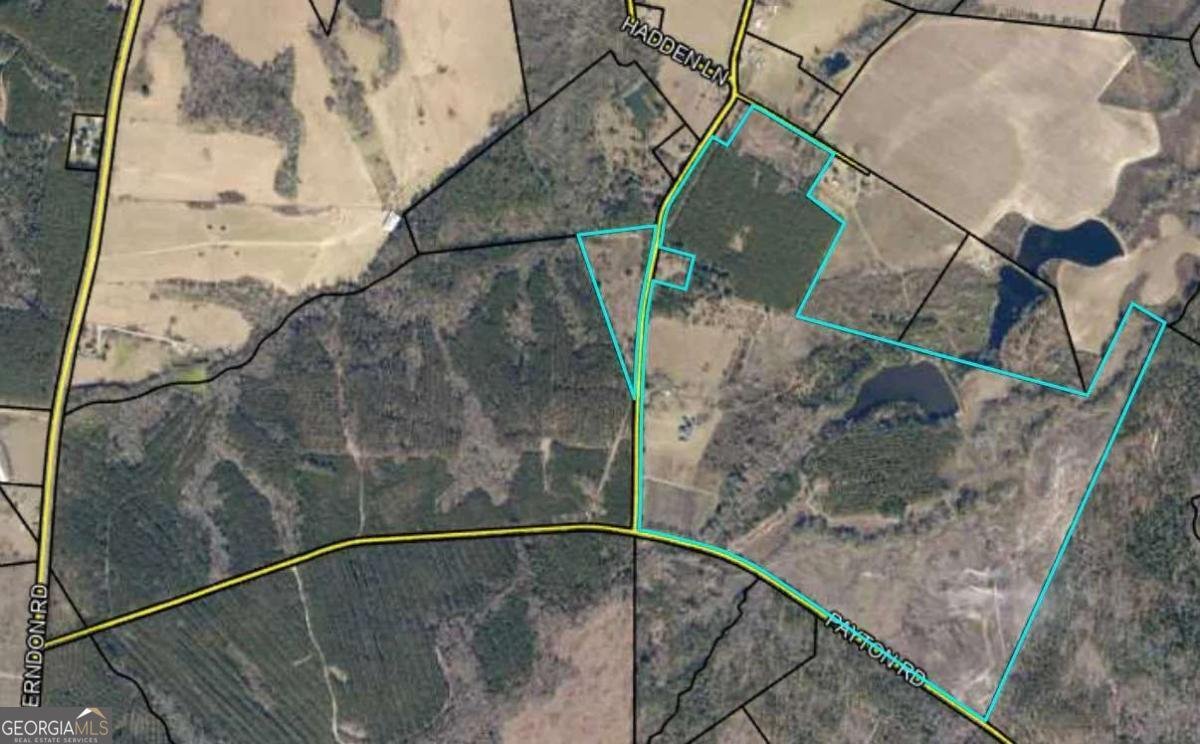 40 Drew Bennett Road Midville - Photo 39