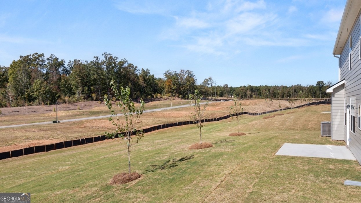 834 Trillium Drive Locust Grove - Photo 14