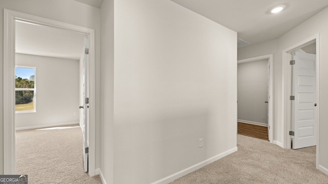 834 Trillium Drive Locust Grove - Photo 42