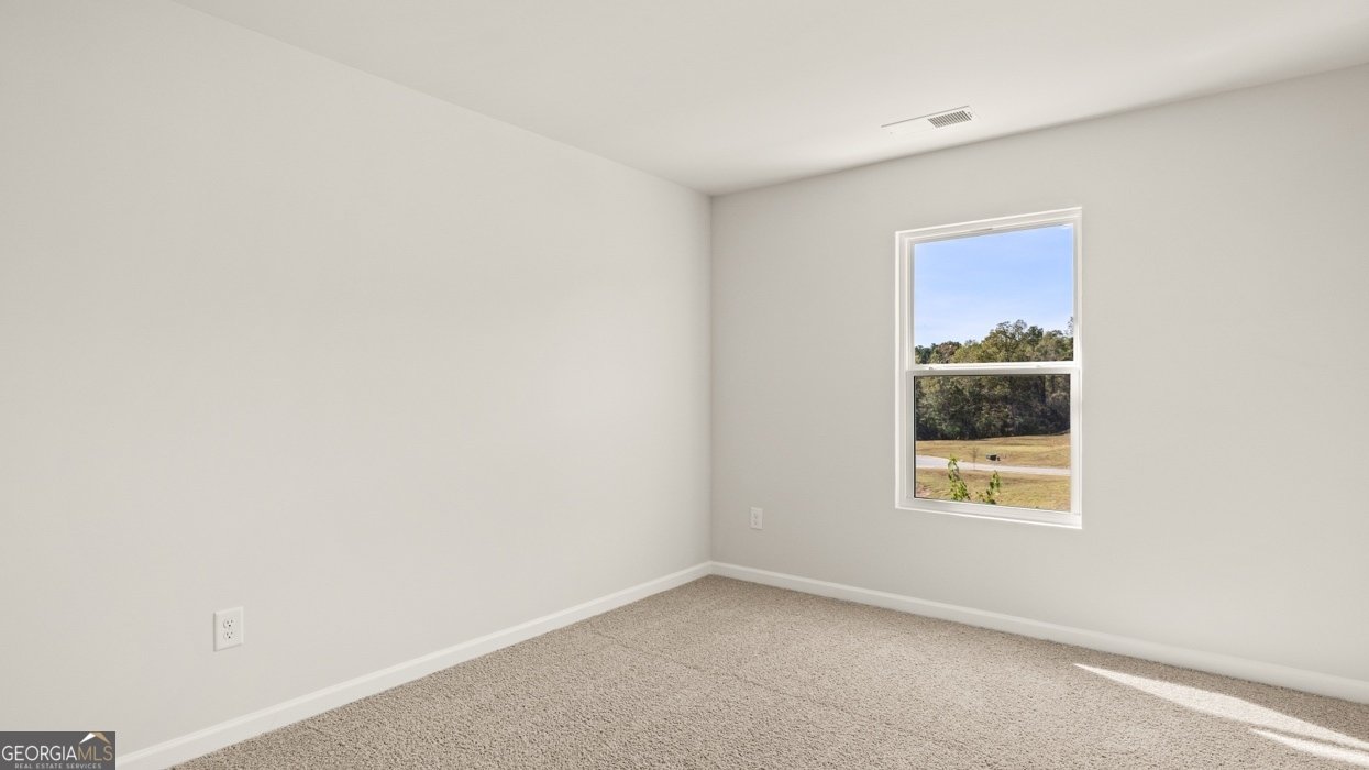 834 Trillium Drive Locust Grove - Photo 45