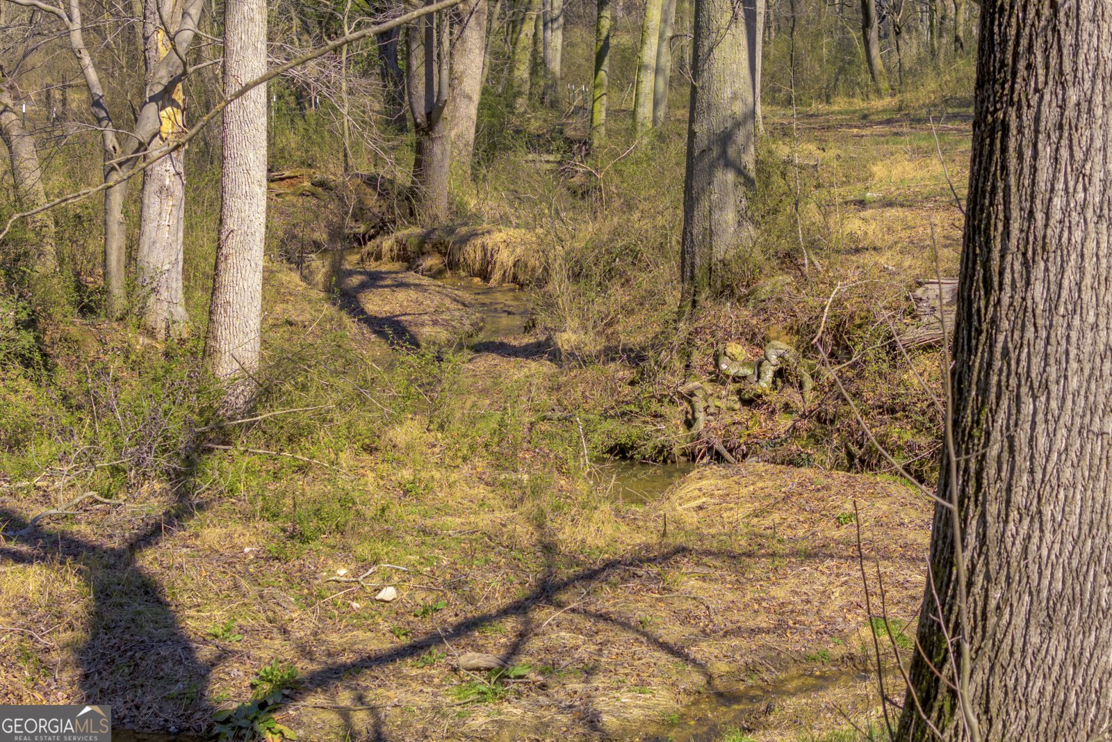 685 James Springs Road Danielsville - Photo 60