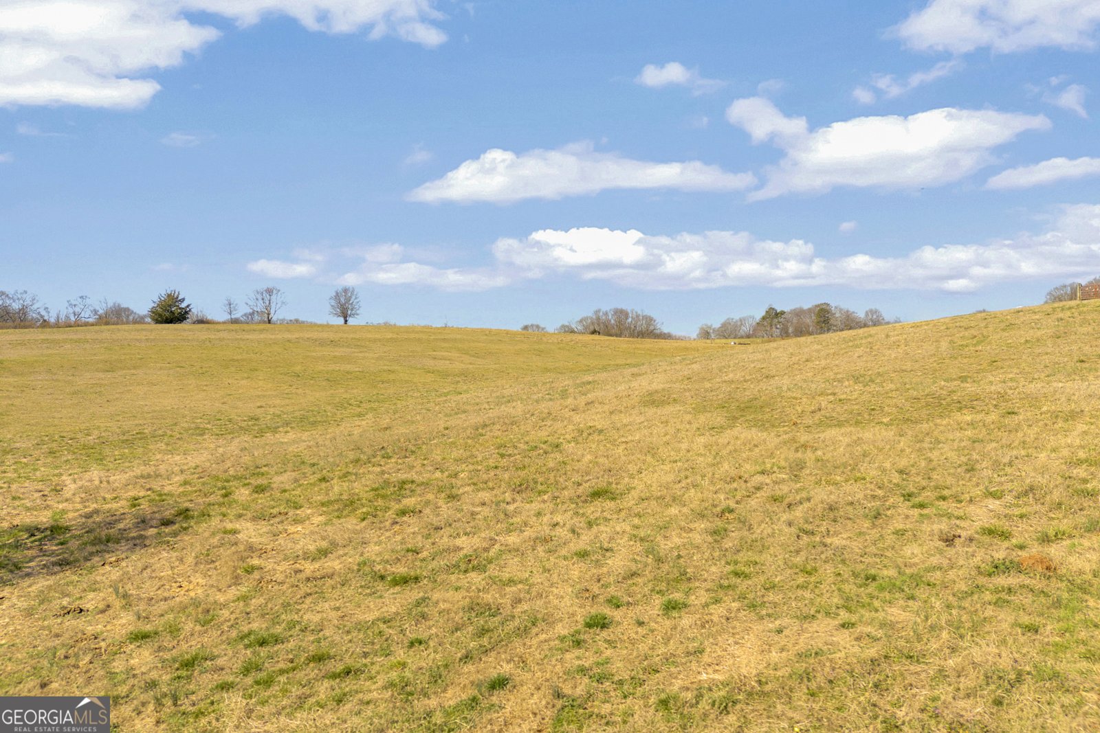 685 James Springs Road Danielsville - Photo 68