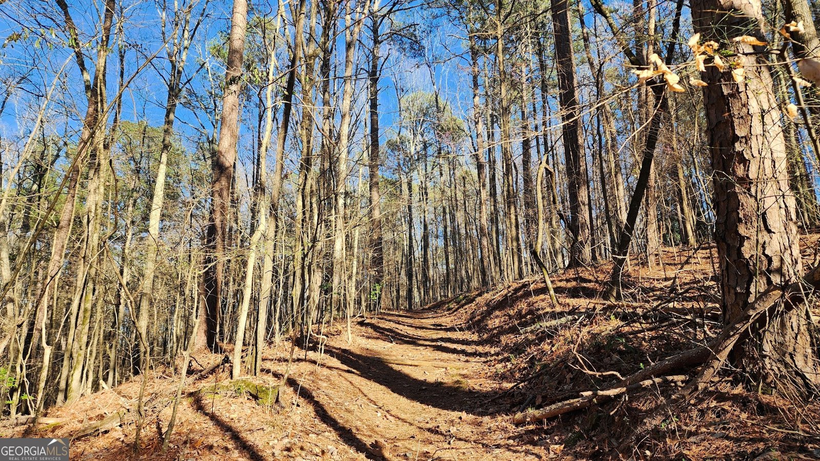 2405 Caylor Hill Pointe Kennesaw - Photo 67