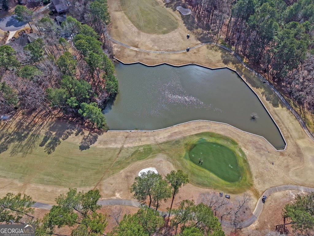 1420 Olde Forge Lane Woodstock - Photo 40