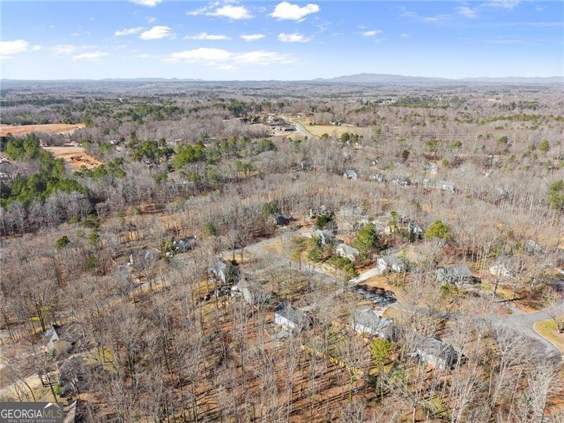 6530 Remington Drive Cumming - Photo 40