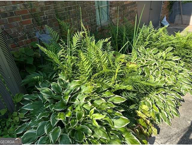 3137 Beechwood Drive Lithia Springs - Photo 55