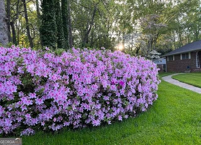 3137 Beechwood Drive Lithia Springs - Photo 57