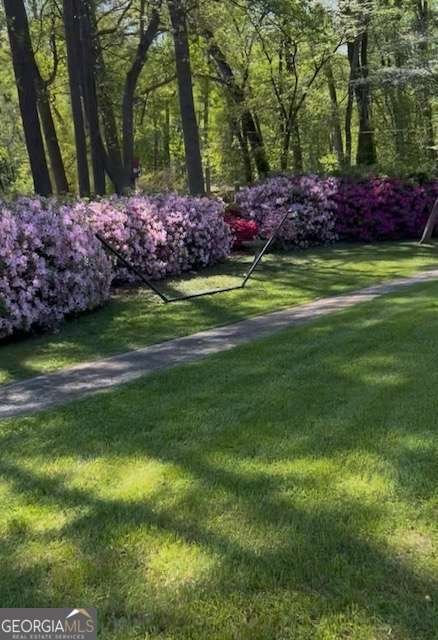 3137 Beechwood Drive Lithia Springs - Photo 58