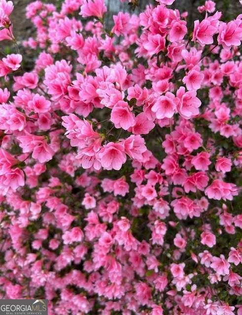 3137 Beechwood Drive Lithia Springs - Photo 59