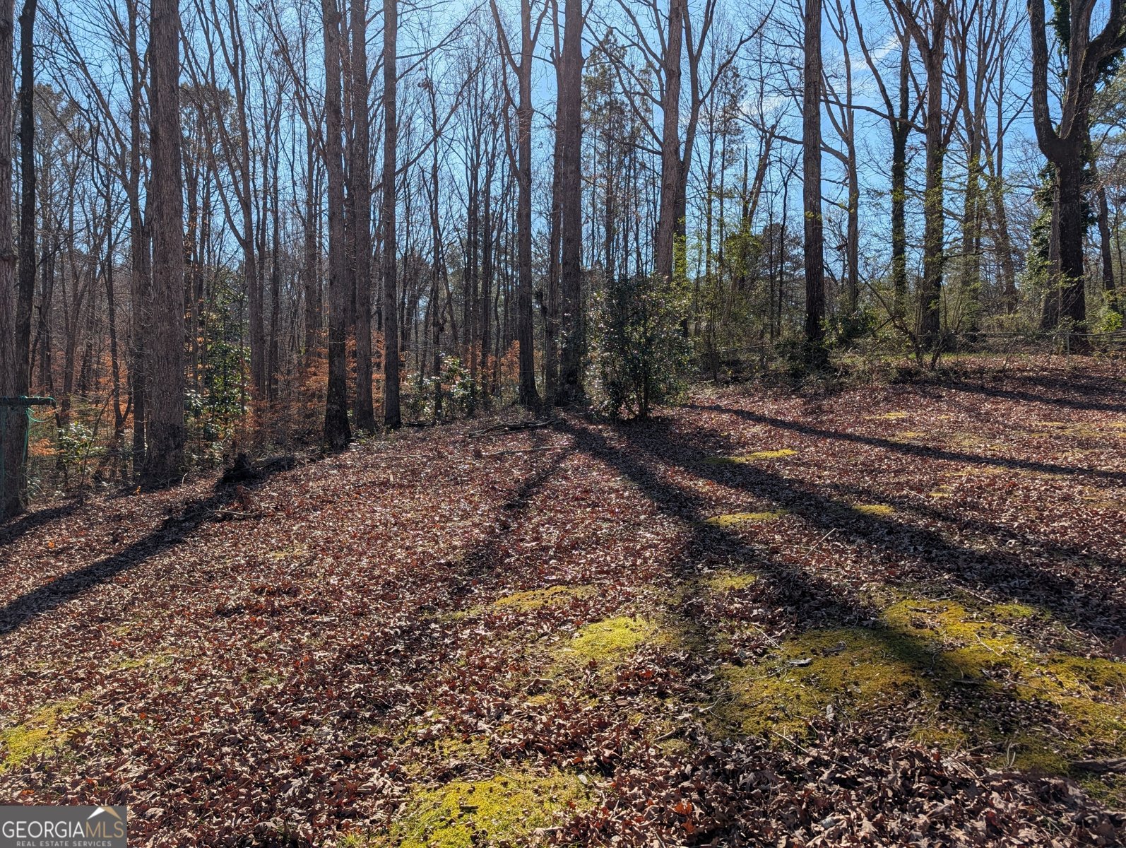 5995 Bear Drive Douglasville - Photo 20