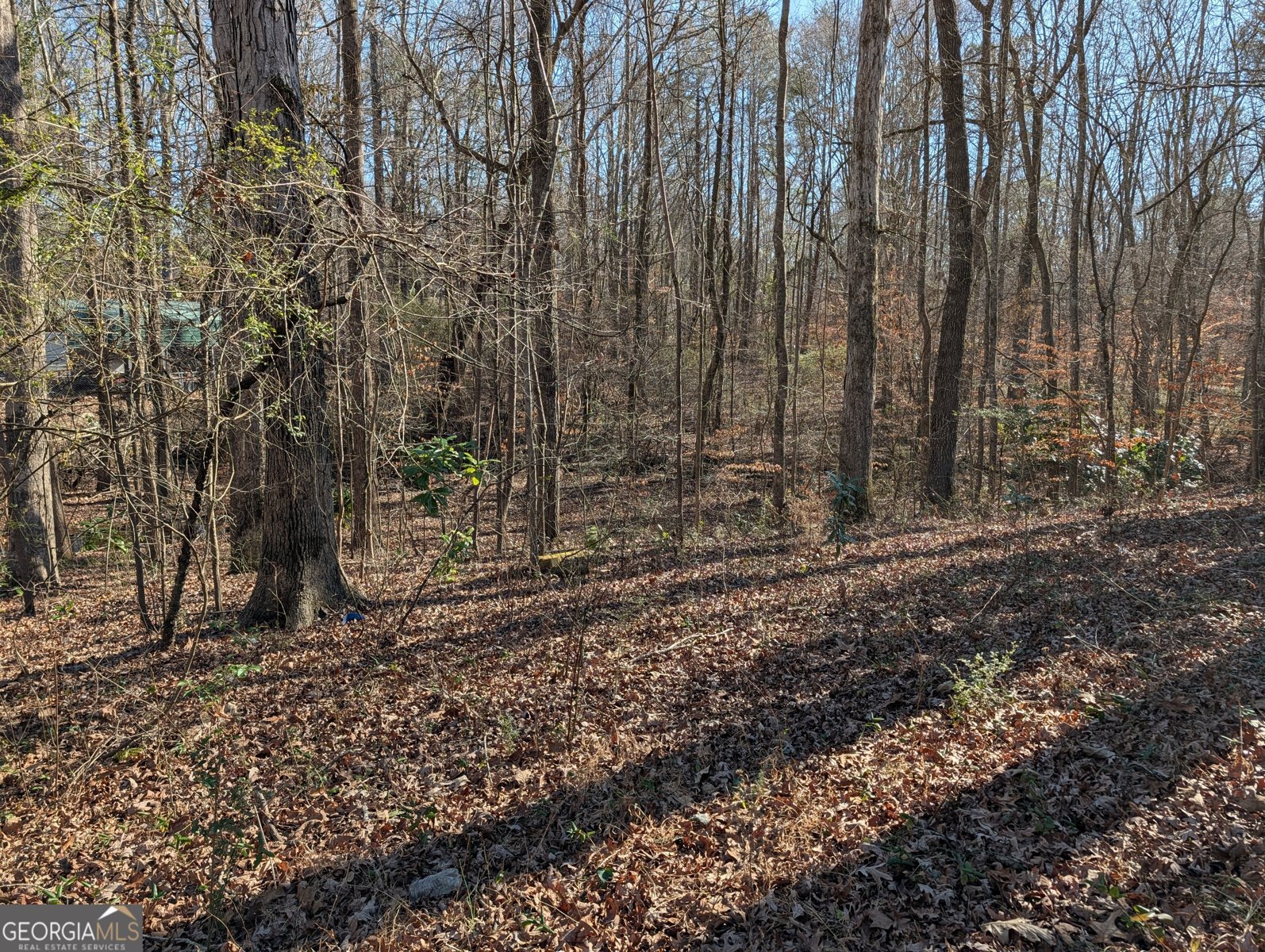 5995 Bear Drive Douglasville - Photo 21