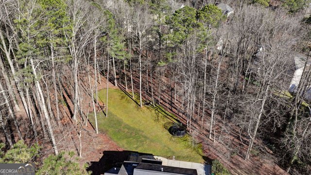 650 Arboreal Court Johns Creek - Photo 71