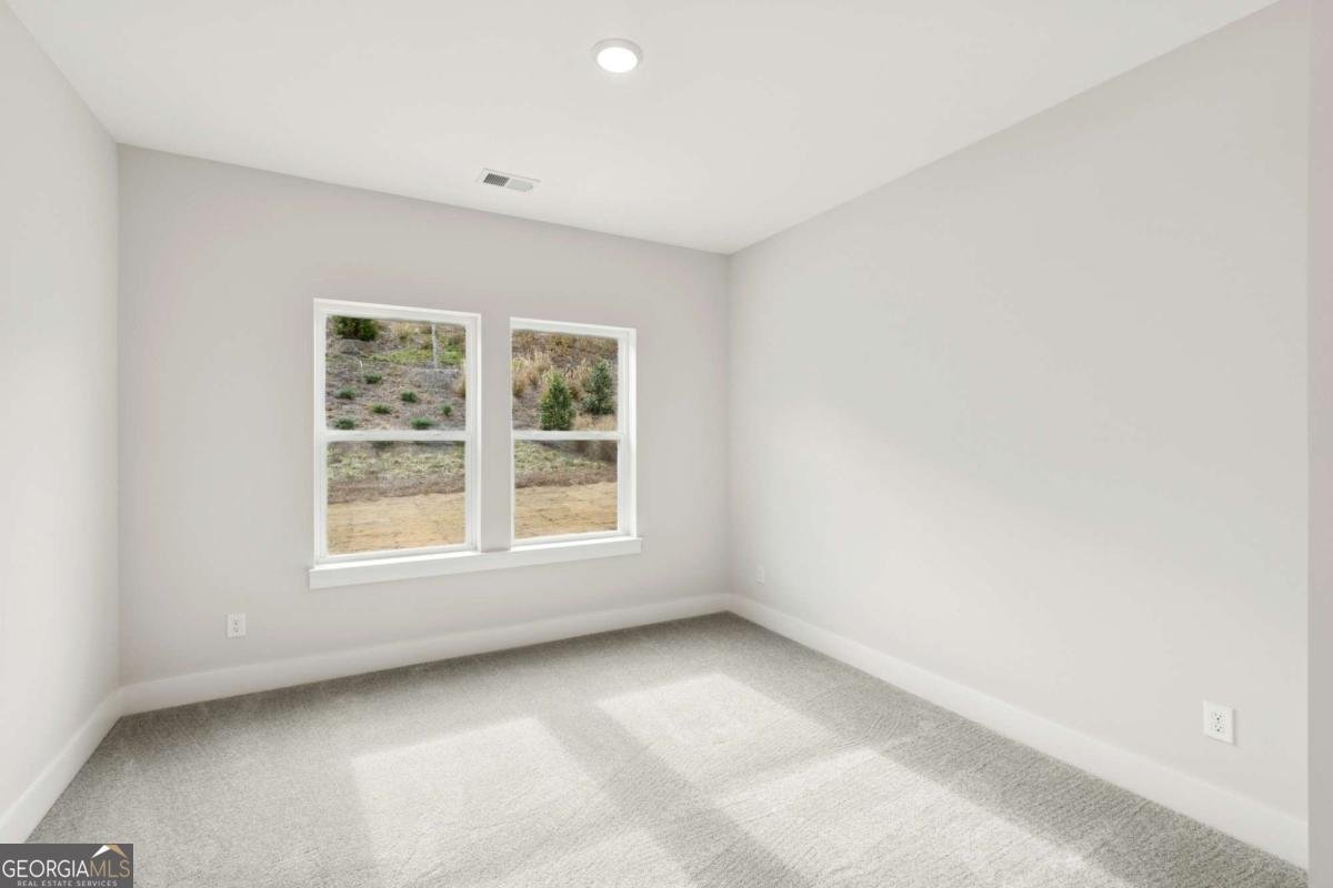 416 Maypop Lane Woodstock - Photo 10