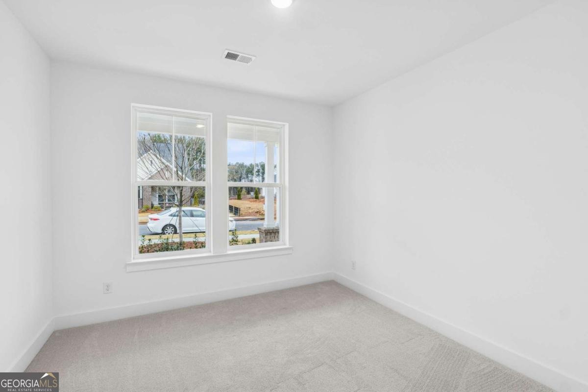 250 Strawberry Lane Woodstock - Photo 10