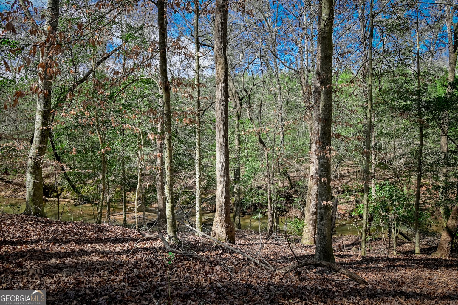 395 Willow Shoals Drive Covington - Photo 17