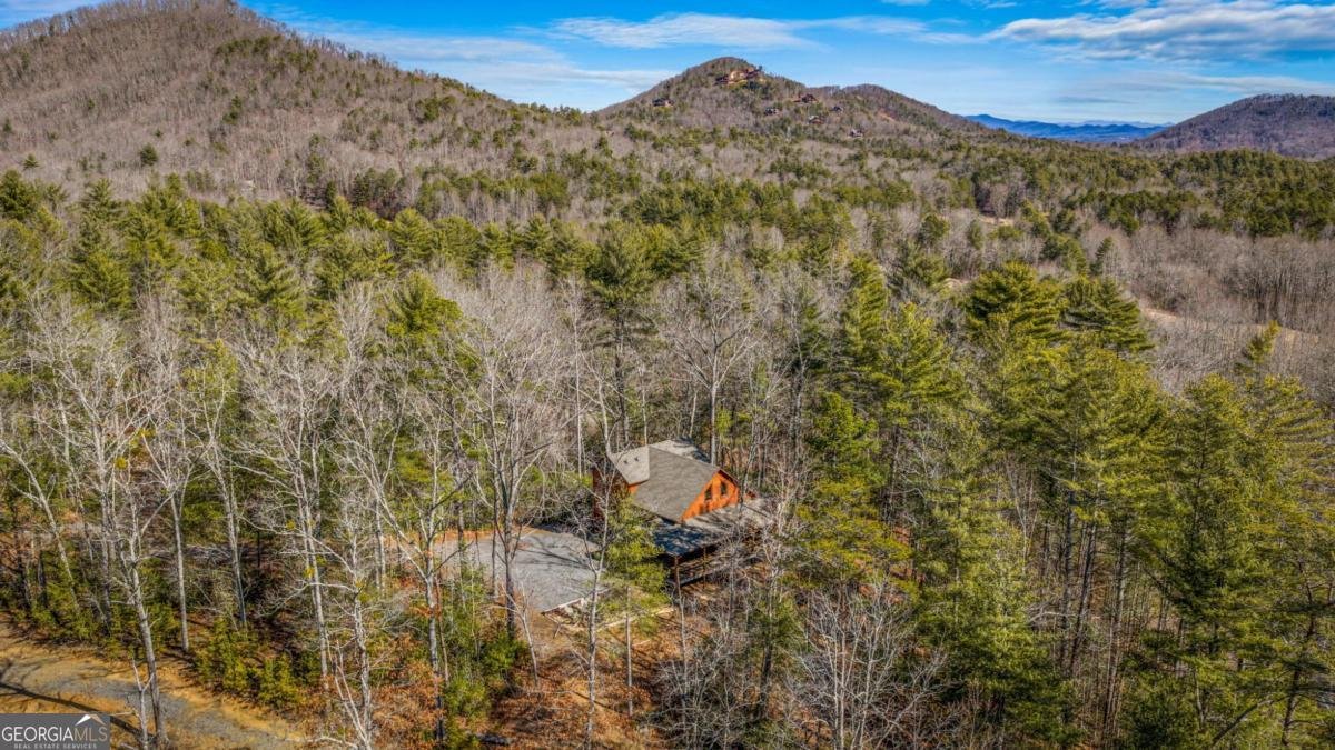 155 Peppermint Lane Epworth - Photo 60