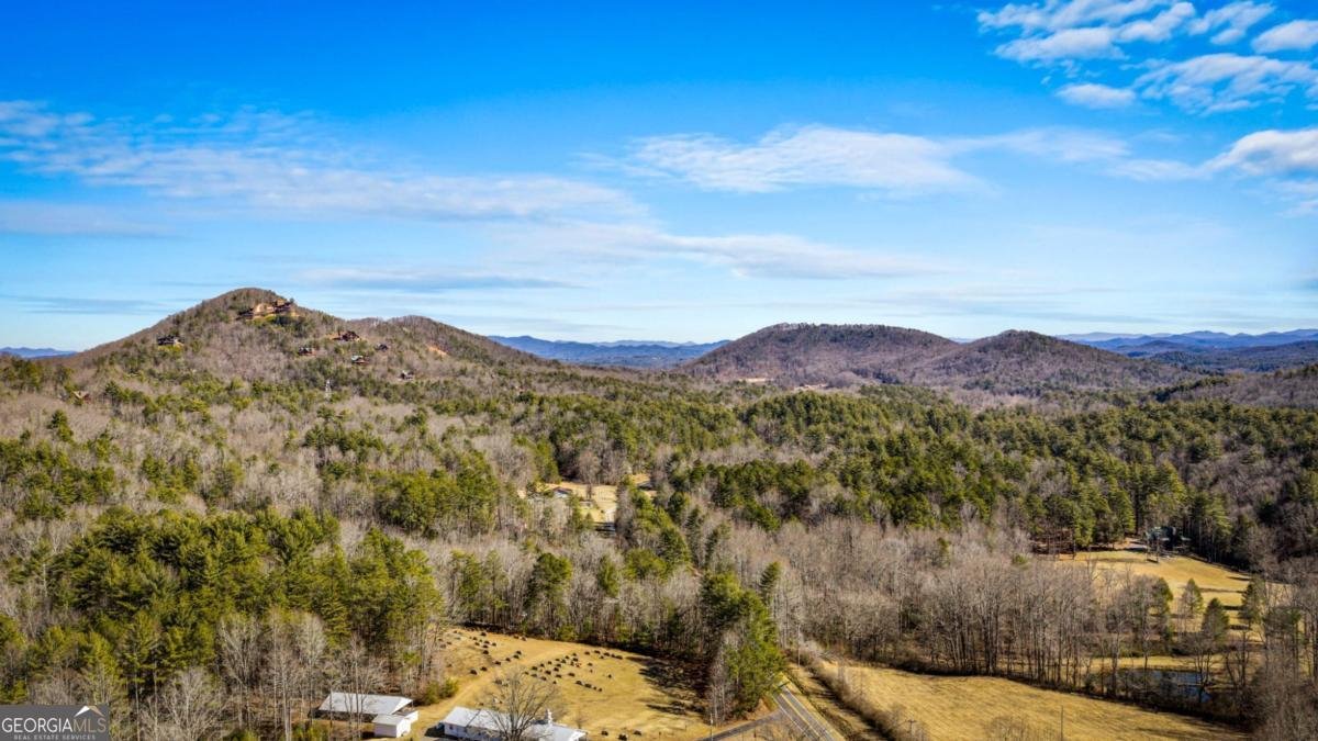 155 Peppermint Lane Epworth - Photo 61