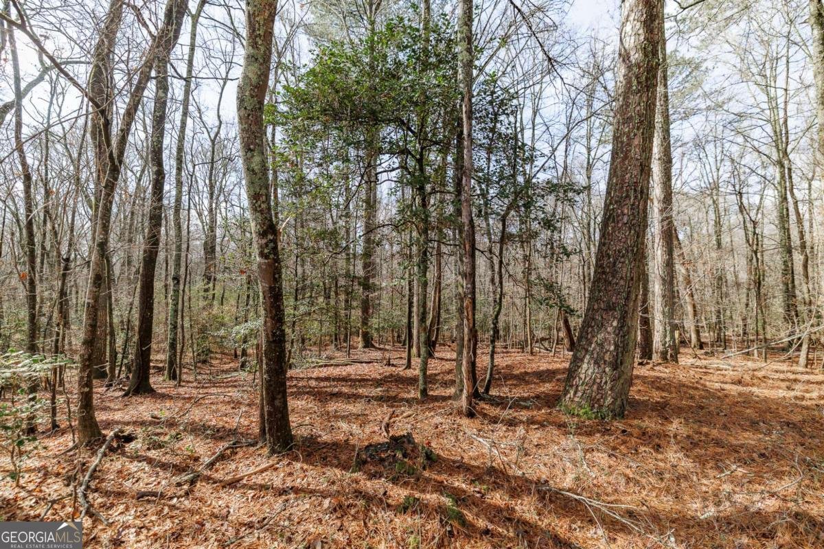 2000 Bullock Trail Loganville - Photo 34