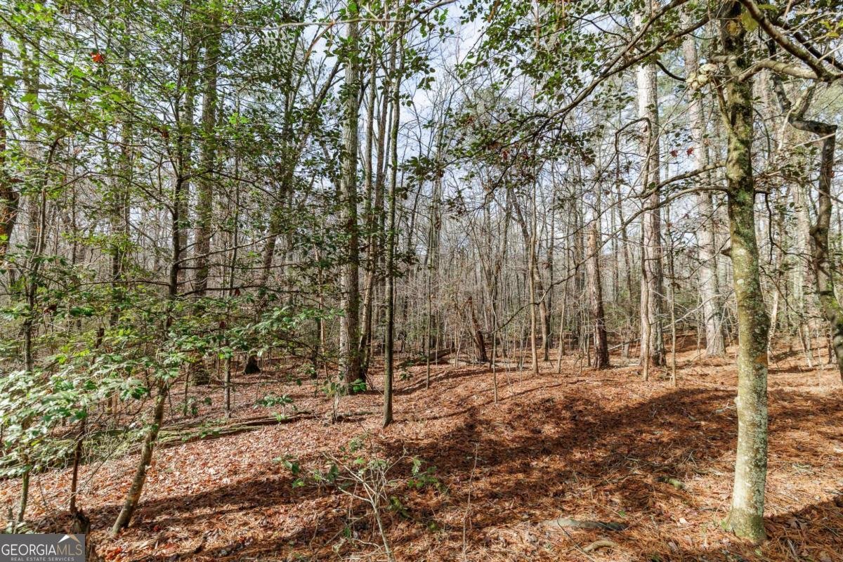 2000 Bullock Trail Loganville - Photo 35