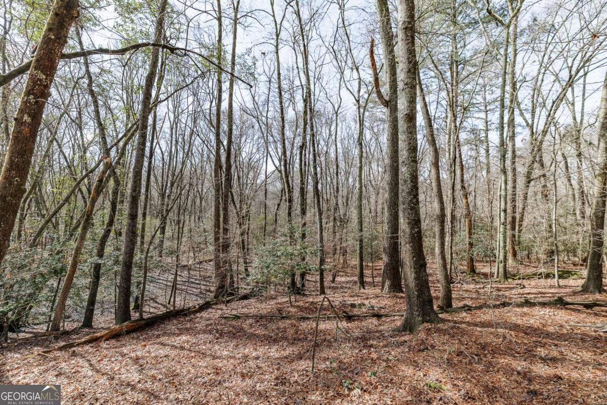 2000 Bullock Trail Loganville - Photo 36