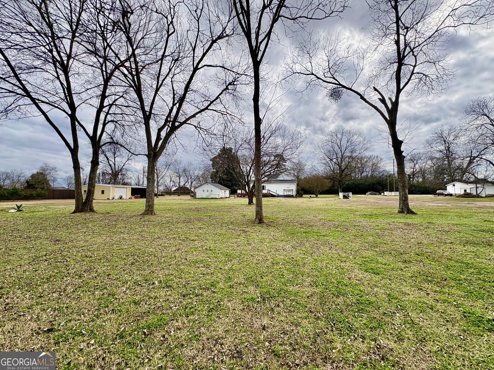 205 White Road Byron - Photo 30