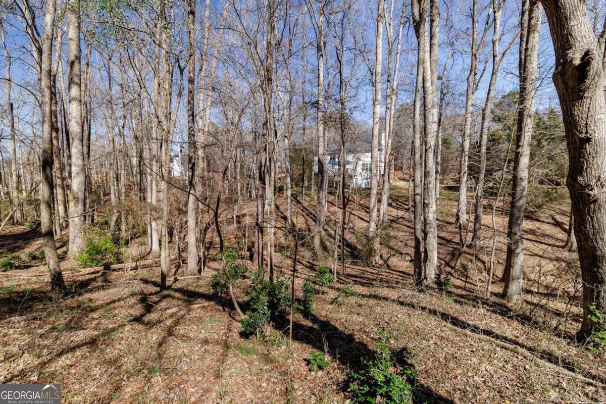 1121 Simonton Drive Watkinsville - Photo 63