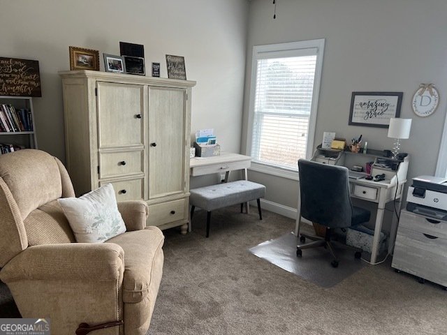 19 Chatham Court Williamson - Photo 44