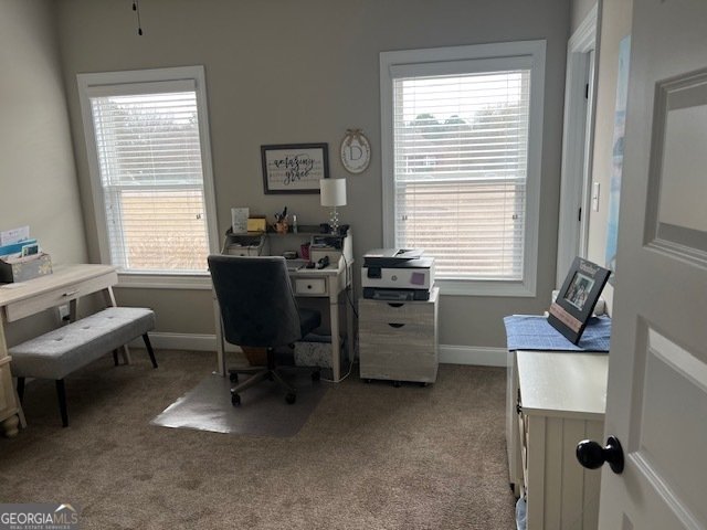 19 Chatham Court Williamson - Photo 54