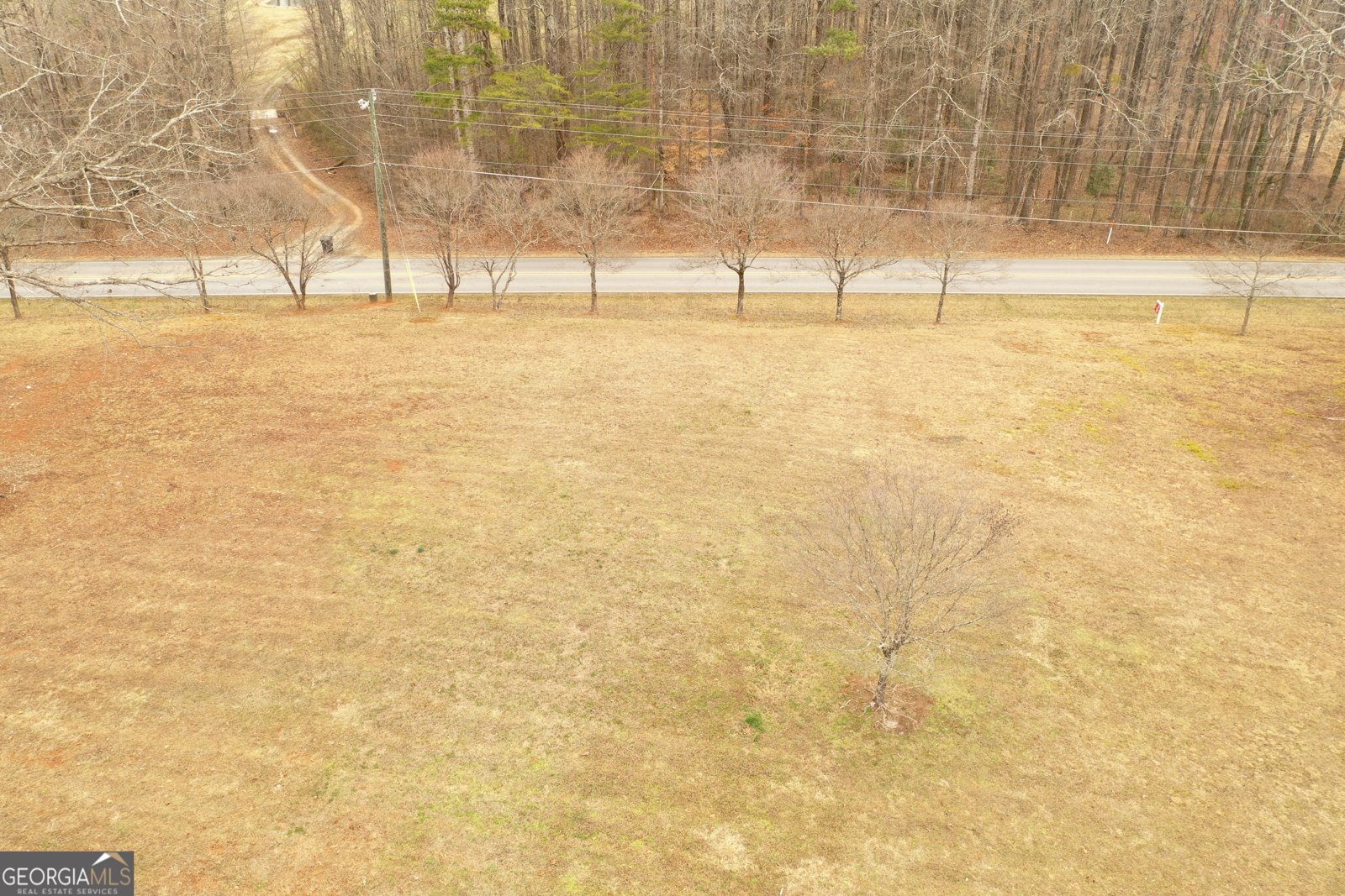 436 Tommy Irvin Road Mount Airy - Photo 11
