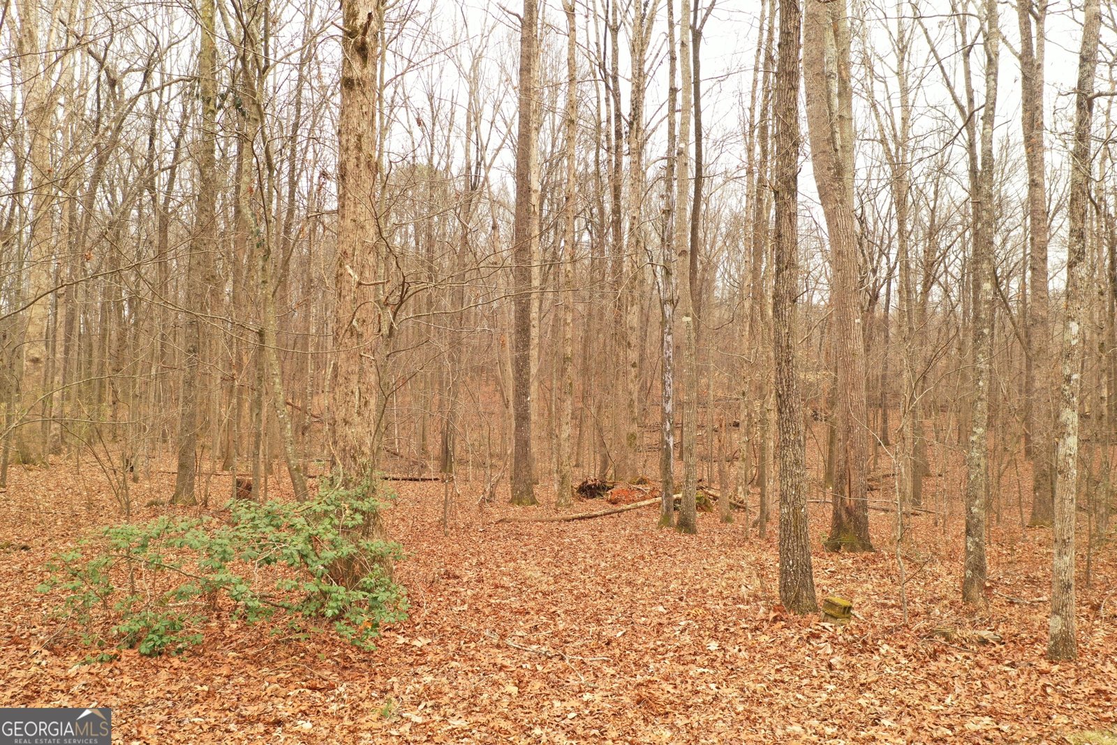 436 Tommy Irvin Road Mount Airy - Photo 18