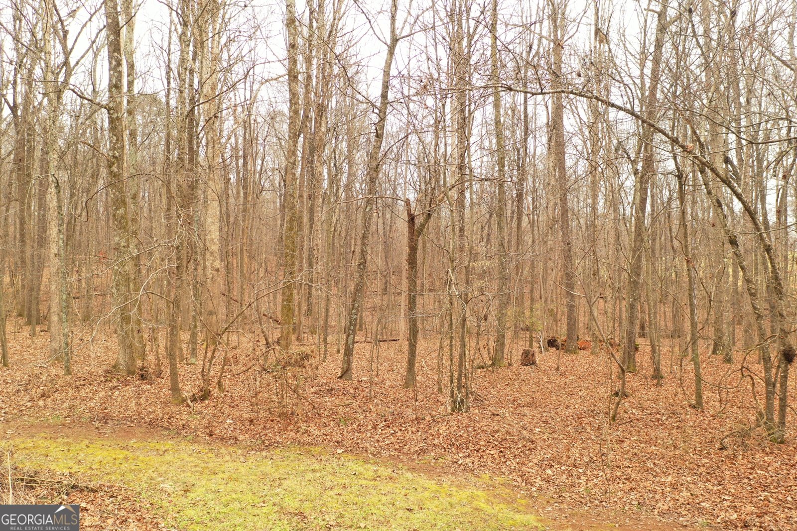 436 Tommy Irvin Road Mount Airy - Photo 25