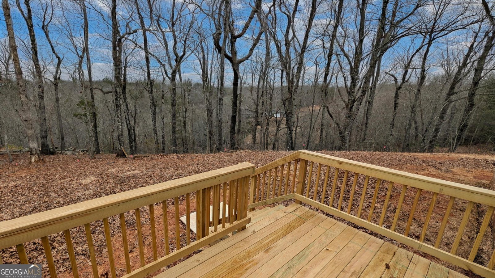 859 Mountain Ridge Drive Dahlonega - Photo 10