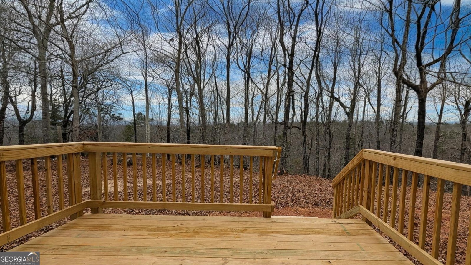 859 Mountain Ridge Drive Dahlonega - Photo 12