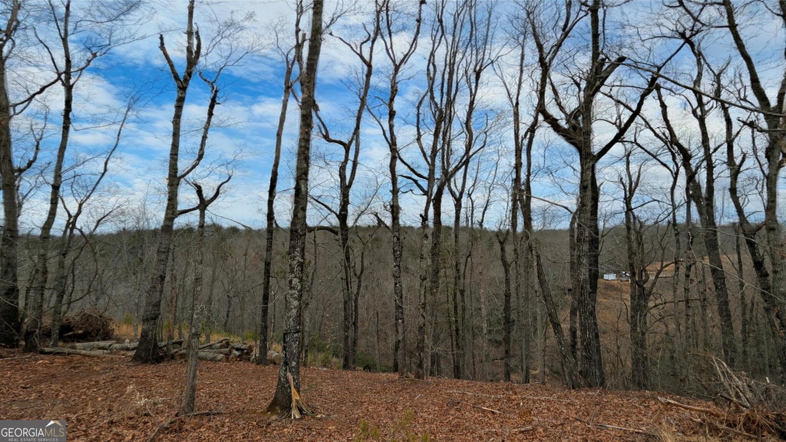 859 Mountain Ridge Drive Dahlonega - Photo 13