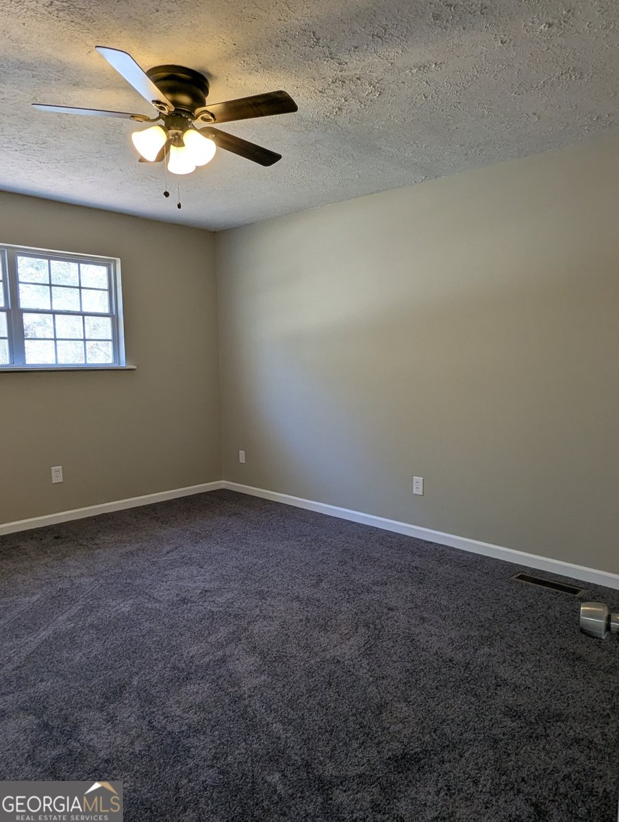 380 Hardy Way Hiram - Photo 12