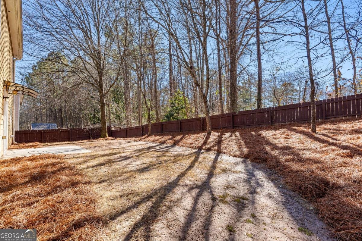 39 Brisbane Court Newnan - Photo 42