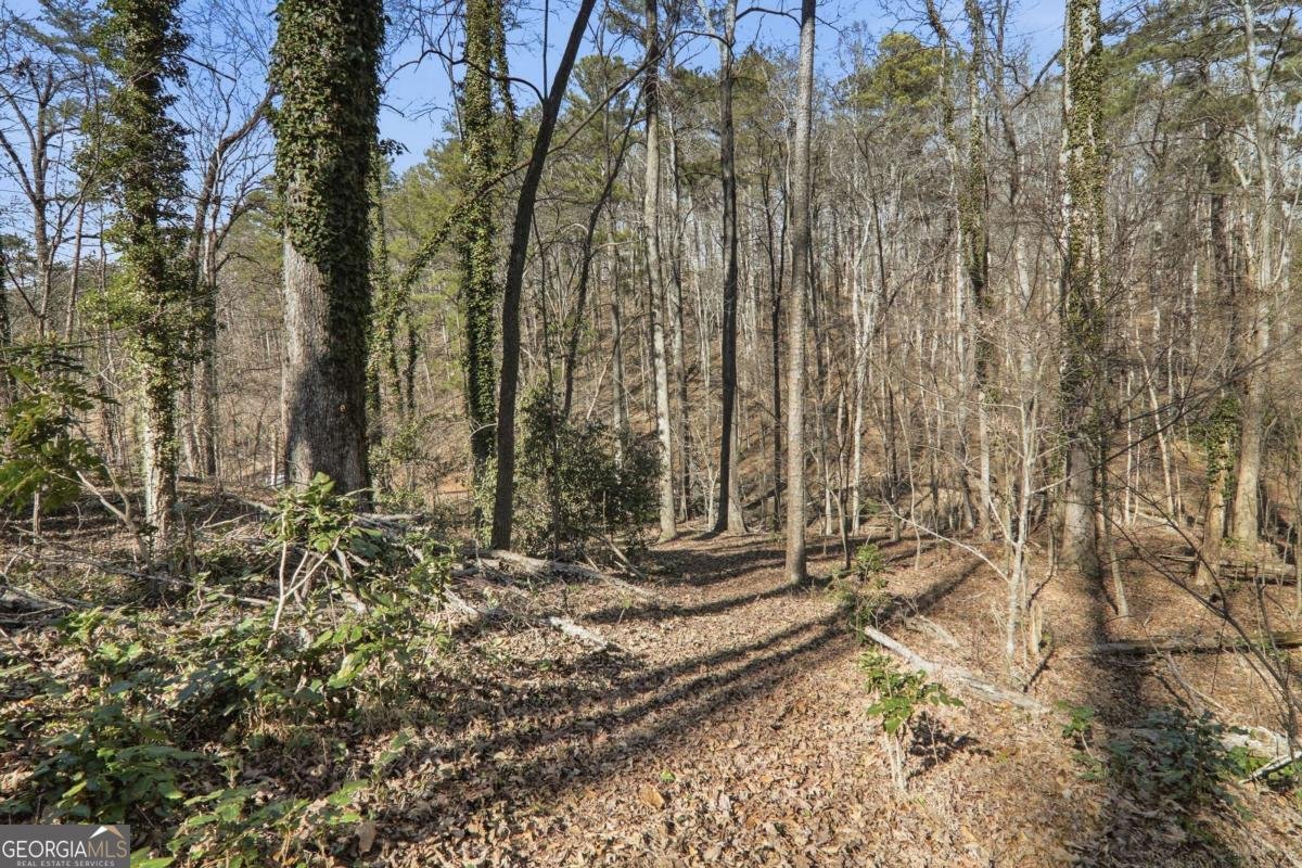 5560 Pilgrim Point Extension Cumming - Photo 39