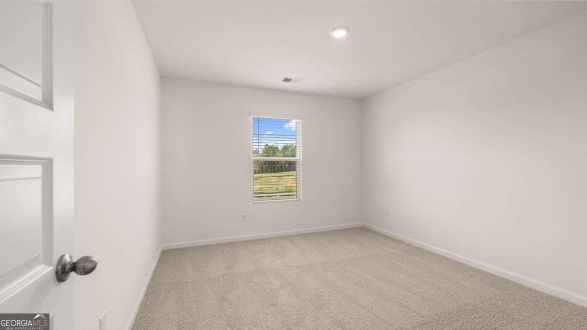 829 Trillium Drive Locust Grove - Photo 18