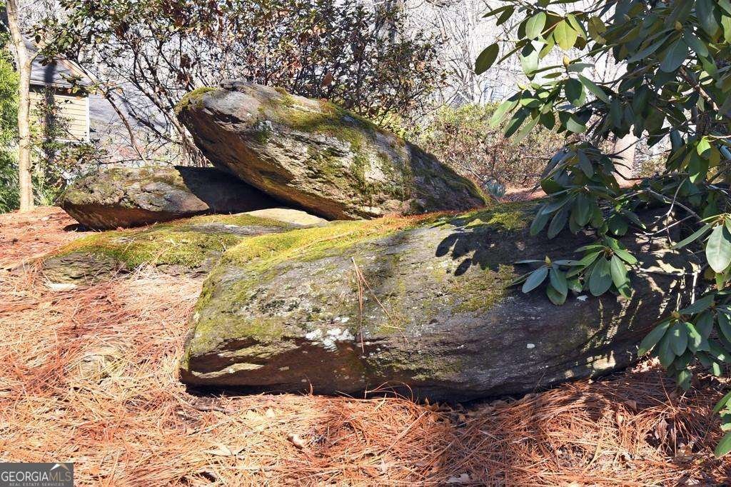 2440 Cedar Fork Trail Marietta - Photo 45