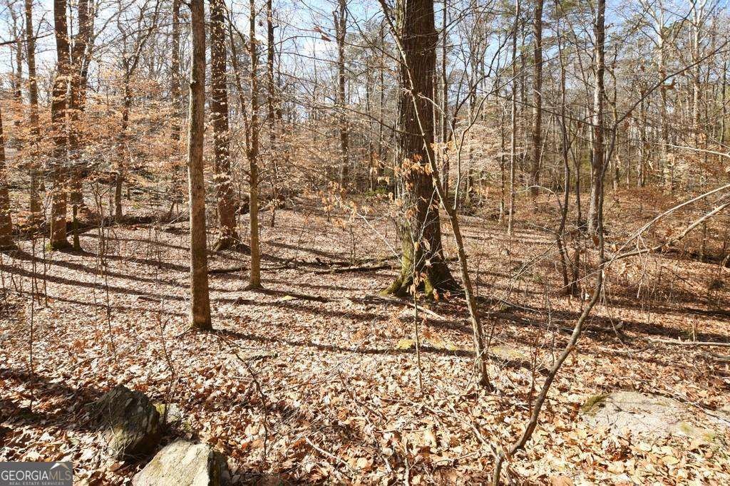 2440 Cedar Fork Trail Marietta - Photo 49