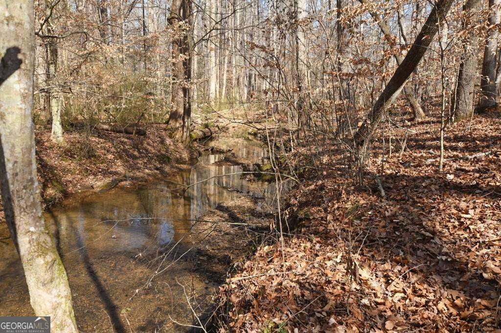 2440 Cedar Fork Trail Marietta - Photo 51