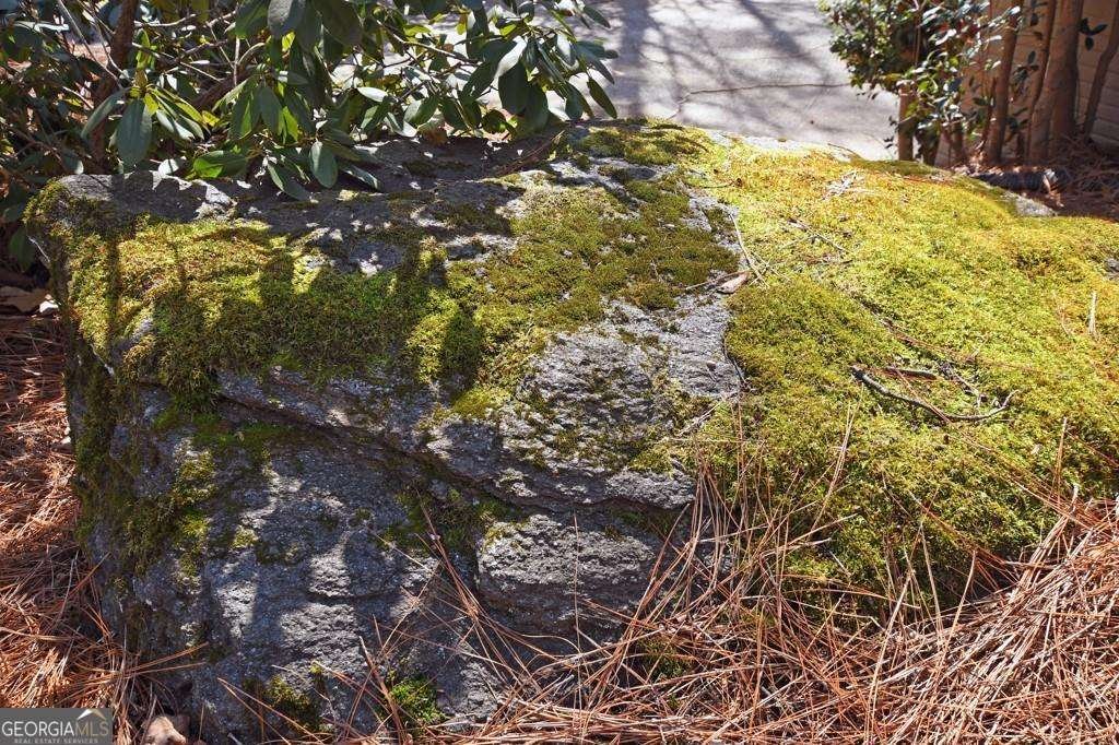 2440 Cedar Fork Trail Marietta - Photo 53