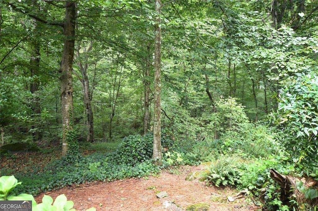 2440 Cedar Fork Trail Marietta - Photo 73