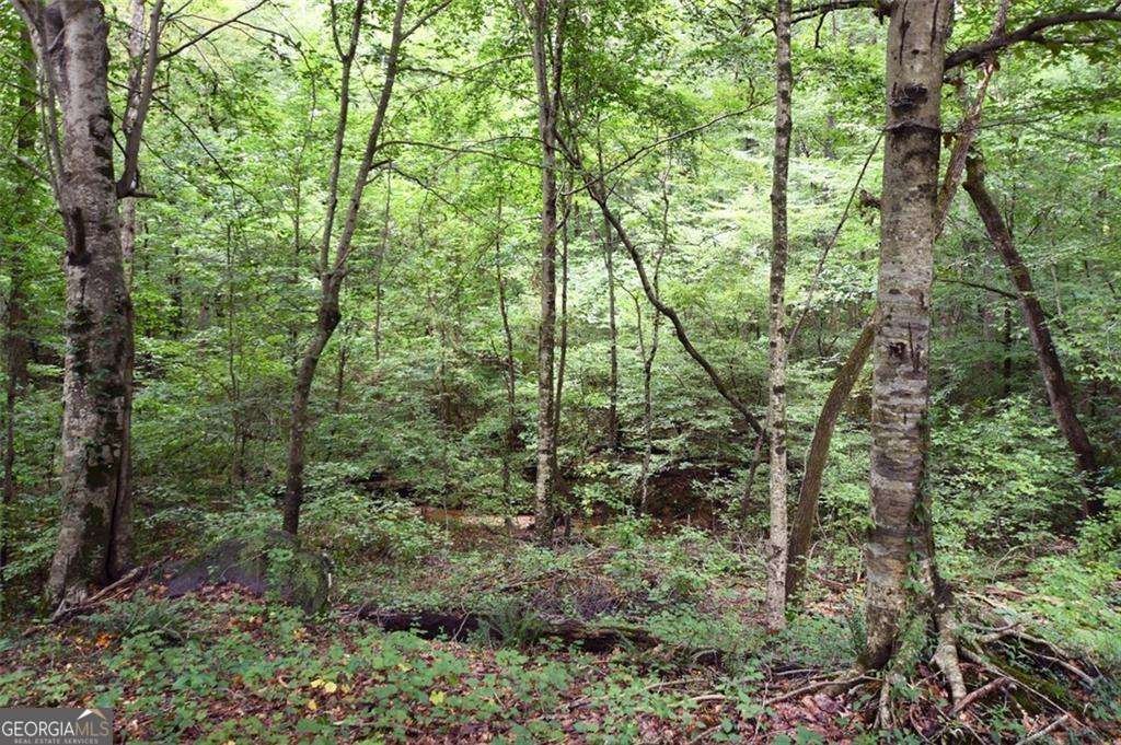 2440 Cedar Fork Trail Marietta - Photo 77