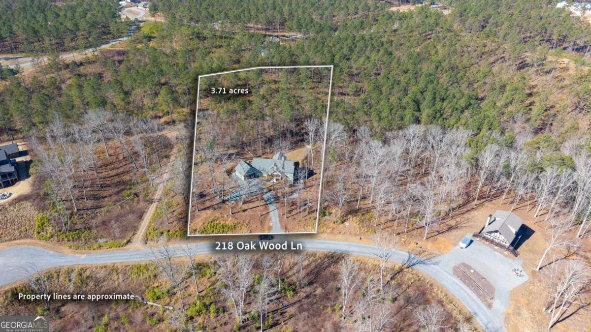 218 Oak Wood Lane Ellijay - Photo 60