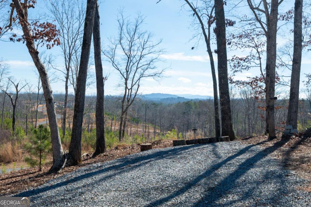 218 Oak Wood Lane Ellijay - Photo 7