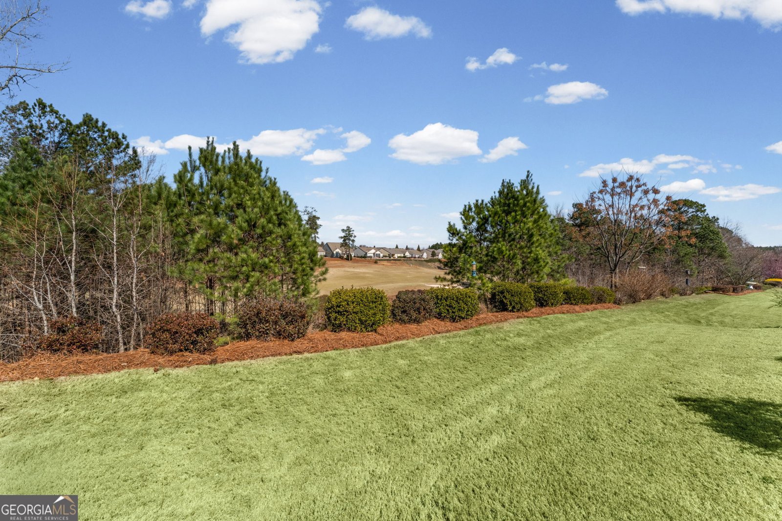 820 Dusky Sap Ct Griffin - Photo 38