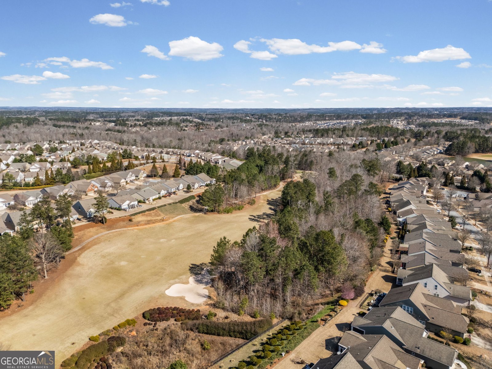 820 Dusky Sap Ct Griffin - Photo 46